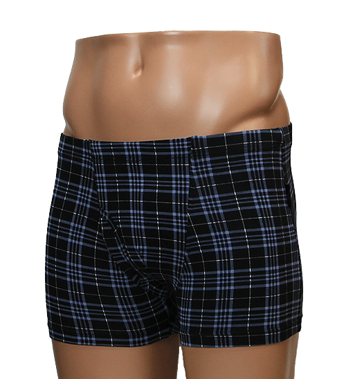 メンズアンダーウェア 男性下着 送料無料 ビーブイディー BVD R60 タ−タンチェックボクサ-　【前開き】　MLL