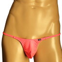 ティーエムコレクション セクシーアンダーウェア 下着 送料無料 日本製 メンズビキニ TM Tバック SUPERWET 脇細 TB Mサイズ