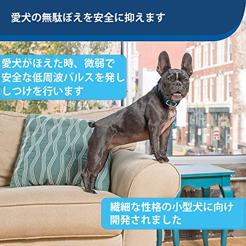 PetSafe 小型犬用バークコントロール 無駄吠え防止 犬 しつけ首輪 犬に優しい 安全&有効 防水 愛犬しつけ用グッズ 近隣トラブル安眠妨害防止 室内使用可能 愛犬のトレーニング 自動訓練 犬