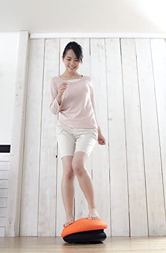 ���饤�� BALANCE BOY mini �Х�󥹥ܡ��� �ߥ� �֥������ֱ�ư�ˤ��ȥ졼�˥󥰤����ۤΥ�������ء� FD-093 �����