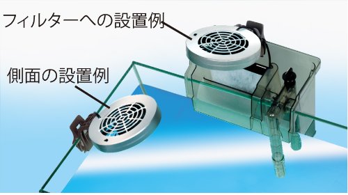 �ƥȥ� (Tetra) ���֥륯����ե��� CF-60W NEW ��� �������ꥦ�� ������ �������� �岹�徺�ɻ�