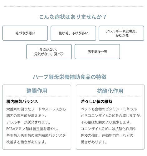 ���˥ޥ��ȥ饹1L