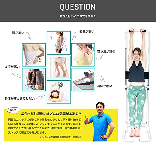 ���륤��(ALINCO) �֤餵���꤯�� FA890 �֤鲼����򹯴�