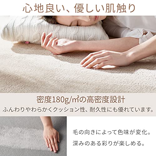 アイリスプラザ フランネルラグ 快適な空間をお届け ラグ ラグマット ダイヤグレー 200×250cm FNR-RC-2025 h)ダイヤグレー [2]