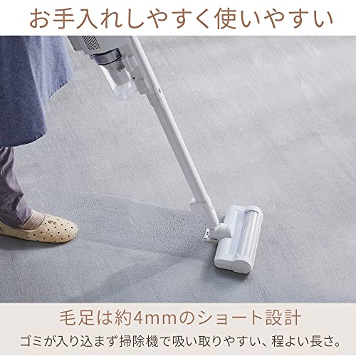アイリスプラザ フランネルラグ 快適な空間をお届け ラグ ラグマット ダイヤグレー 200×250cm FNR-RC-2025 h)ダイヤグレー [3]