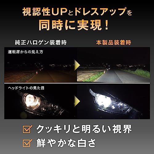 フィリップス 自動車用バルブ&ライト LED ヘッドライト H8 H11 バルブ 6500K 高輝度タイプ ハイルーメン 9000lm 車検対応 3