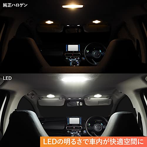 ���ե����饤�� ����������MXPK10�� Z/G ���졼������ LED�롼����ץ��å� ������ ����Ʊ���������ع�����LED���å׻��� ������