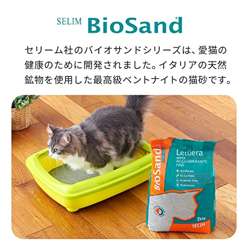 ��OFT�� ���꡼��Х�������� ���꡼�� 2�ޥ��å�