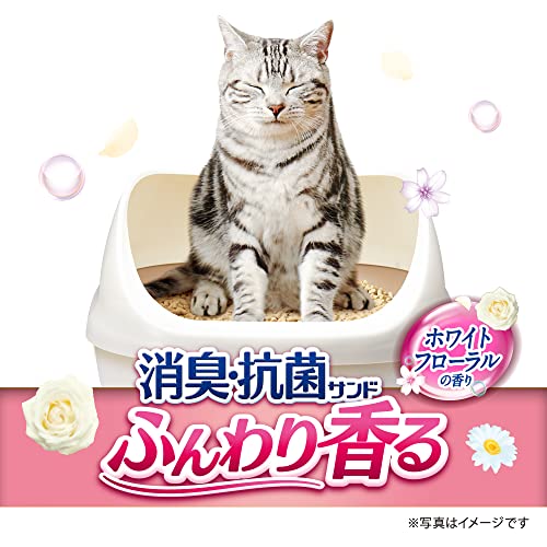 �ǥ��ȥ��� ǭ�� ����� ���ý� ���ݥ���� �ۥ磻�ȥե������ 3.8L��4�� �����ä� �ڥå����� ��˥��㡼��[����������]