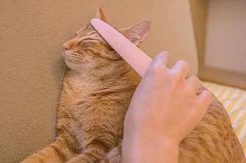 勵 ͤ㤹 쥤åԥ