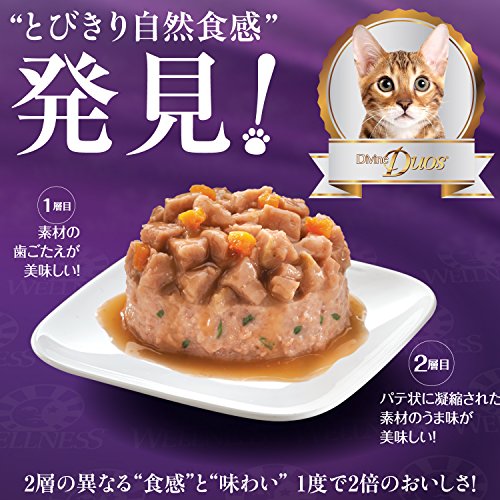 クロスワン 楽天市場店のウェルネス キャットフード 成猫用(1歳以上) コアディバインデュオ(穀物不使用) チキンパテ&角切りサーモン 79グラム (x 24) (ケー｜アングル2