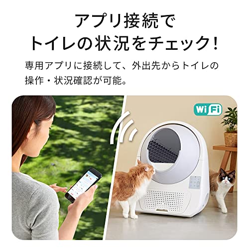 �������եƥ��� ��OFT�� ��ư ǭ �ȥ��� CATLINK SCOOPER PRO - X ���� ���������谷Ź ����åȥ�� ���ޥۤΥ���