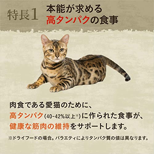 nutro ニュートロ キャット ワイルド レシピ 成猫用 サーモン&トラウト入り パテタイプ トレイ 75g×24個(まとめ買い) キャットフ 2