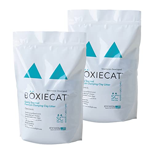 OFT BOXIECAT ܥå ꡼ 7.2kg 2ĥå ꡼ ܥå 7.2kg ǭ Ǥޤ ٥...
