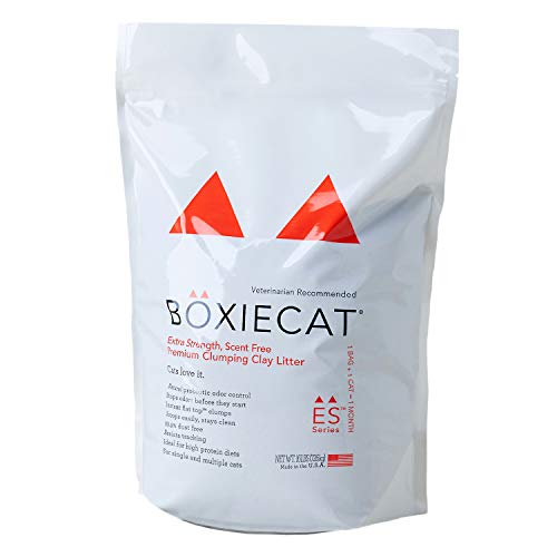 OFT BOXIECAT  ܥå 7.2kg ǭ Ǥޤ ٥ȥʥ ʤ ̵ ̵忧 Ͼý Լ...