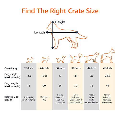 Amazonベーシック ペットケージ 折りたたみ式 トレー付き シングルドア 76 cm x 48 cm x 53 cm ブラック