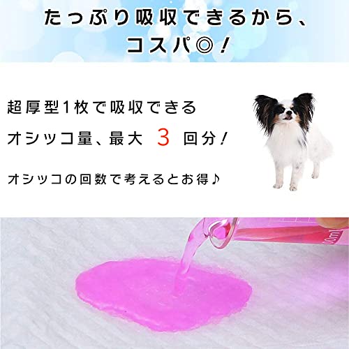 �ڡ� �����ꥹ������� �ڥåȥ����� Ķ���� ������ �쥮��顼 200����