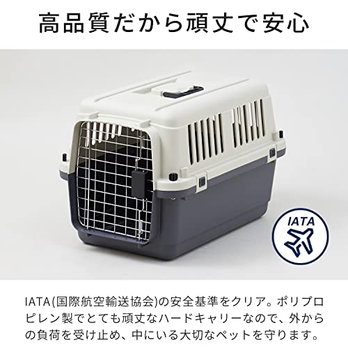 ��OFT�� �ڥåȥ���ͥ� �ե������ȥ��饹 L60 �ڳ�������40�߱�60.5�߹�40.5cm ���ν���(��)��3kg �� ����꡼ ǭ ����