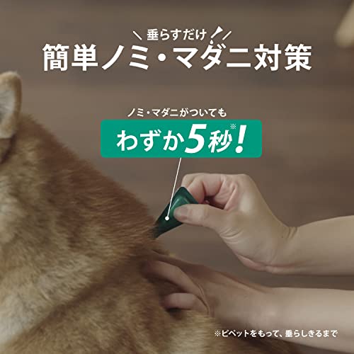 ��ưʪ�Ѱ����ʡۥե���ȥ饤�� �ץ饹 �ɥå� ���� S(5kg~10kg̤��) 0.67mL��6����