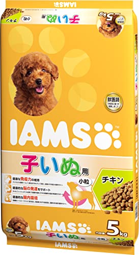 ॹ (IAMS) ɥåա Ҥ γ  5 (x 1)