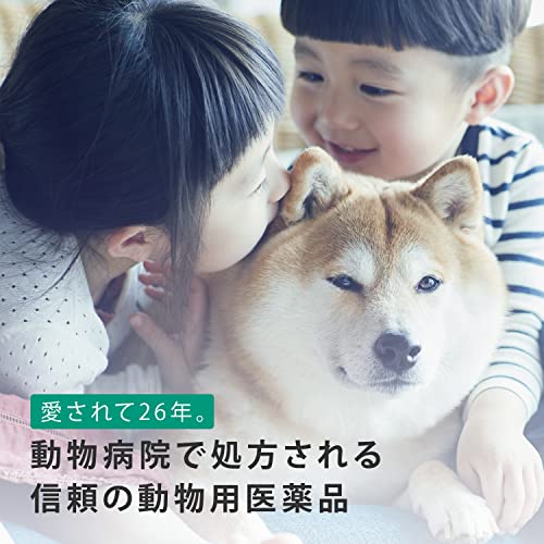 【動物用医薬品】フロントライン プラス ドッグ 犬用 L(20kg~40kg未満) 2.68mL×6本入