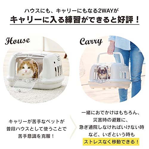 �����ꥹ������� �� ǭ ����꡼ �ڥåȥϥ���&����꡼ �椬������ P-HC480 �ͥ��ӡ�