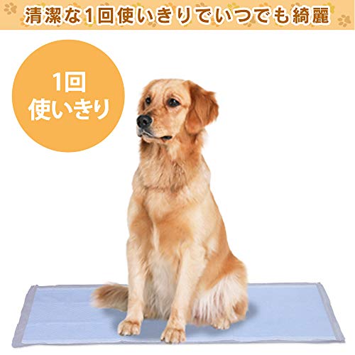 クロスワン 楽天市場店のアイリスオーヤマ ペットシーツ 薄型 1回使い捨て 抗菌 消臭 中型犬・大型犬 ダブルワイド 200枚入 (ケース販売)｜アングル2
