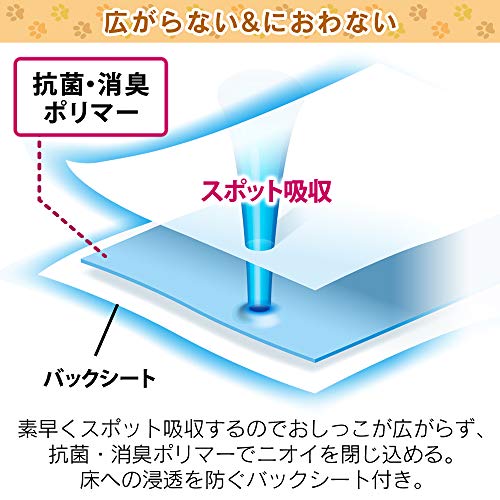 �����ꥹ������� �ڥåȥ����� ���� 1��Ȥ��Τ� ���� �ý� �淿�����緿�� ���֥�磻�� 200���� (����������)