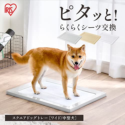 クロスワン 楽天市場店のアイリスオーヤマ 犬 トイレ スクエアドッグトレー 挟むだけ マグネット ワイド ホワイト 水洗い可｜アングル2