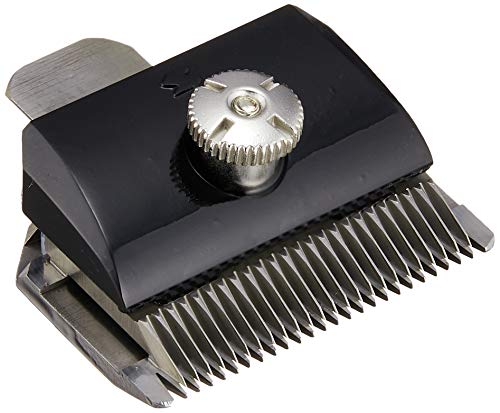 スピーディク 替刃 1mm