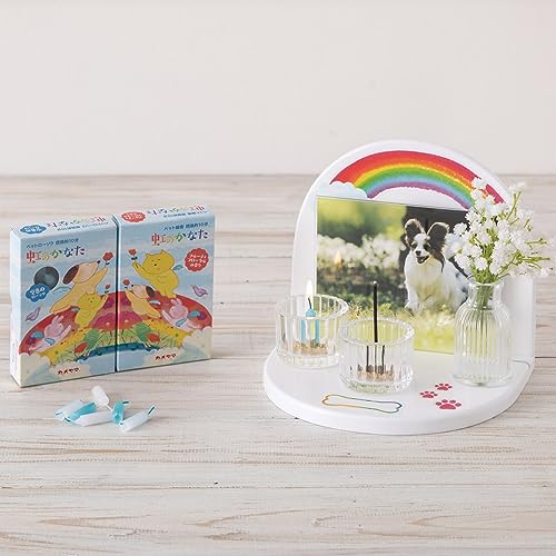 ���Τ��ʤ� ���ꥢ�륹�ơ������å� ����