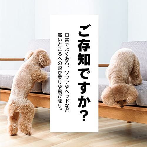 クロスワン 楽天市場店のアイリスプラザ ドッグステップ 犬用階段 踏み台 2段 ベージュ 小型犬 高さ30cm｜アングル2