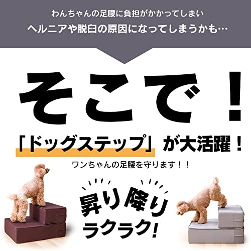 クロスワン 楽天市場店のアイリスプラザ ドッグステップ 犬用階段 踏み台 2段 ベージュ 小型犬 高さ30cm｜アングル3
