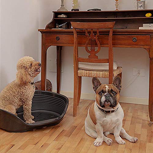 �ե����ץ饹�� SIESTA DELUXE 6 ��/ǭ�ѥ٥å� �ץ饹���å��� 70206914 �֥롼