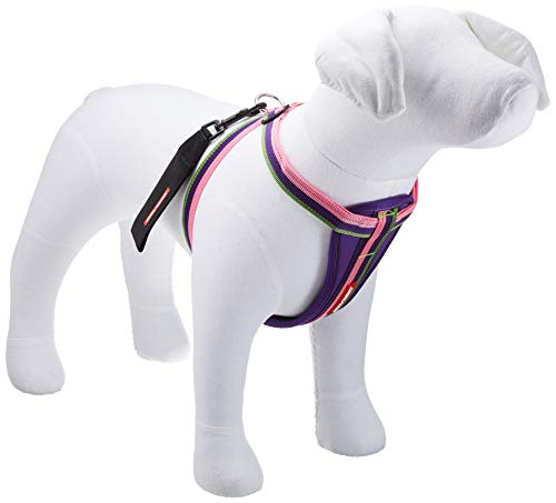 ���찡��� EZYDOG �ϡ��ͥ� XL �Х֥륬��