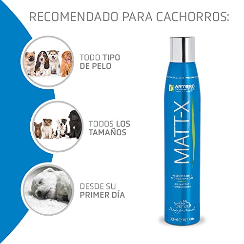 ARTERO �ޥå�X 300ml �ץ�å�