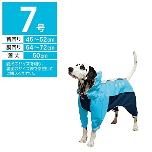 �ɥ����ޥ� ���ݡ��ƥ����쥤�󥦥��� �����Х󥹥����� 7��֥롼�ߥͥ��ӡ� �֥롼&�ͥ��ӡ� 7��