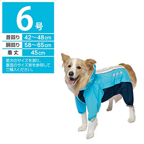 �ɥ����ޥ� ���ݡ��ƥ����쥤�󥦥��� �����Х󥹥����� 6��֥롼�ߥͥ��ӡ� �֥롼&�ͥ��ӡ� 6��