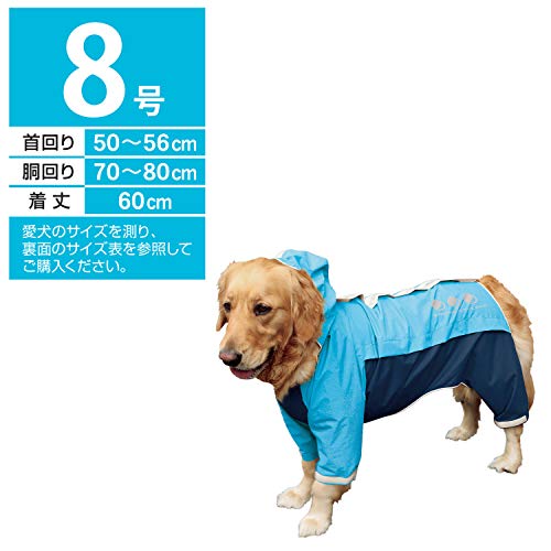 �ɥ����ޥ� ���ݡ��ƥ����쥤�󥦥��� �����Х󥹥����� 8��֥롼�ߥͥ��ӡ� �֥롼&�ͥ��ӡ� 8��