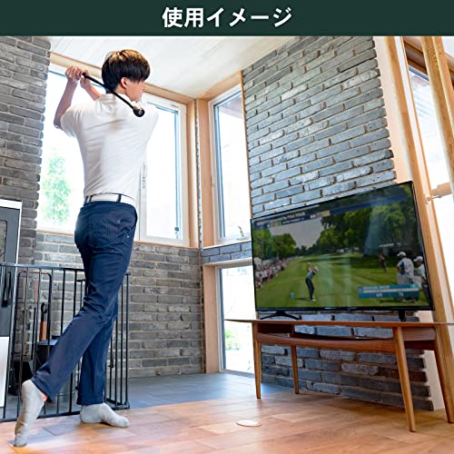 Tabata(タバタ) トルネードスティック モデルグリップタイプ スイング練習機 ゴル...