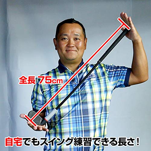 ダイヤゴルフ(DAIYA GOLF) ダイヤスイング533 TR-533