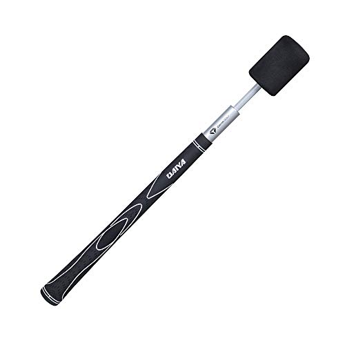 ダイヤゴルフ(DAIYA GOLF) スイング練習機 ダイヤスイング ダイヤスイング531 ユニセックス TR-531 両手 ブラック