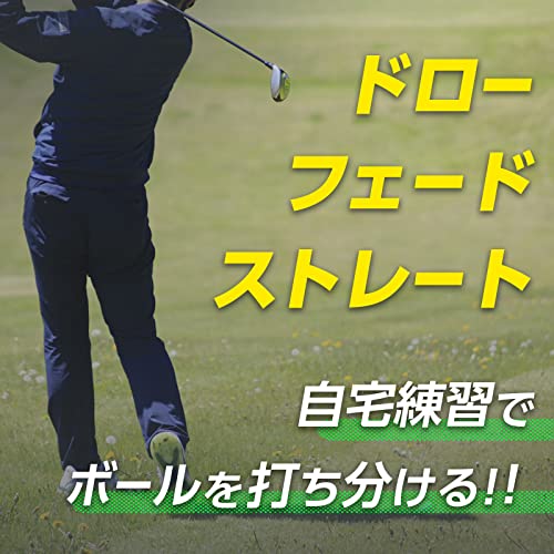 ダイヤゴルフ(DAIYA GOLF) スイング練習器具 ダイヤスイングLED 光るヘッドでスイ...