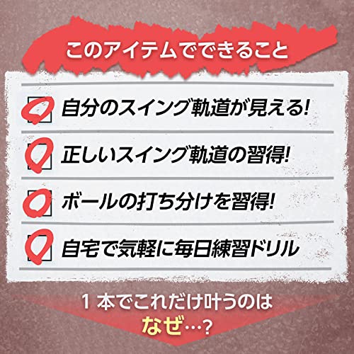 ダイヤゴルフ(DAIYA GOLF) スイング練習器具 ダイヤスイングLED 光るヘッドでスイ...