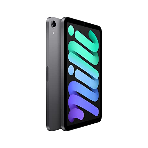 2021 Apple iPad mini (Wi-Fi 64GB) - スペースグレイ