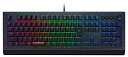 Razer Cynosa V2 JP ゲーミングキーボード 日本語配列 メンブレン 静音 個別バックライトキー Chroma RGB 防滴設計(2)