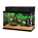 WFbNX GEX AQUARIUM KX }[i600BKS fAN[Zbg TJip