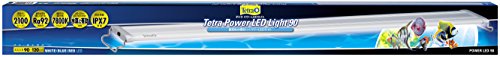 ƥȥ (Tetra) ƥȥ ѥLED饤 90  ꥦ ʪ饤 ɿǽ(IPX7) RA92ι⤤鿧 ...