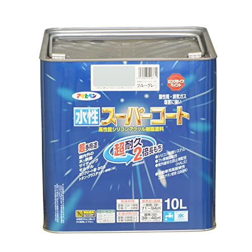 ҥڥ ڥ ѡ ¿ ֥롼졼 10L