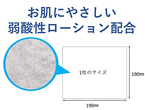 【ケース販売】ハビナース やぶれにくいタイプのおしりふき 72枚×24個入